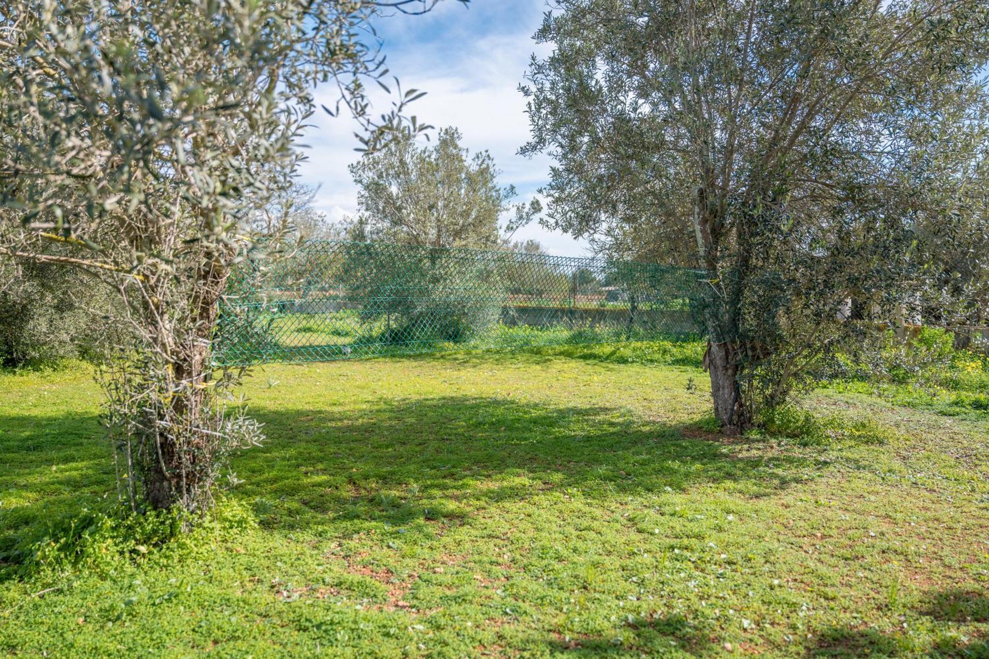Es Marroig Y Villa *